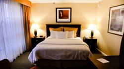 Garden Inn JFK Hotel Room
